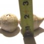 BEIGE MOLE SALT AND PEPPER SHAKERS