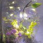 LIGHTED DECOR/ NIGHT LIGHT NATURE SCENE