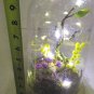 LIGHTED DECOR/ NIGHT LIGHT NATURE SCENE