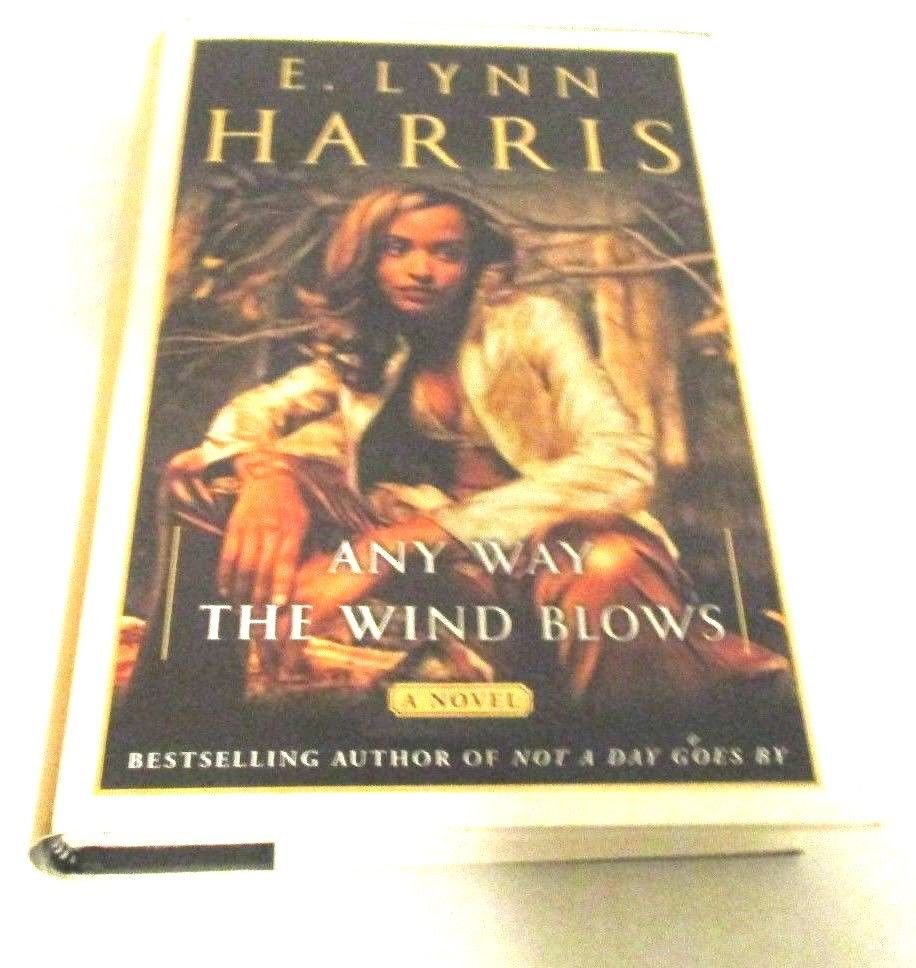Any Way the Wind Blows by E. Lynn Harris (2001, Hardcover)