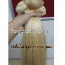 Standard Double Drawn Remy Weft Hair Wholesale Price and Quality Supplier