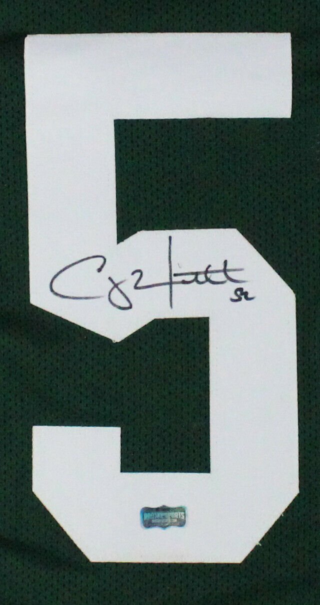 Clay Matthews Signed Autographed Framed Green Bay Packers Jersey Radtke