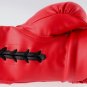 Gennady Golovkin Autographed Signed Everlast Boxing Glove COA