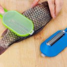 Scraping Scale Kill Fish