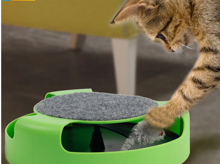 Cat Mouse Toy Catch the Motion Mouse