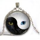 Yin and Yang Tai Chi Bagua cat