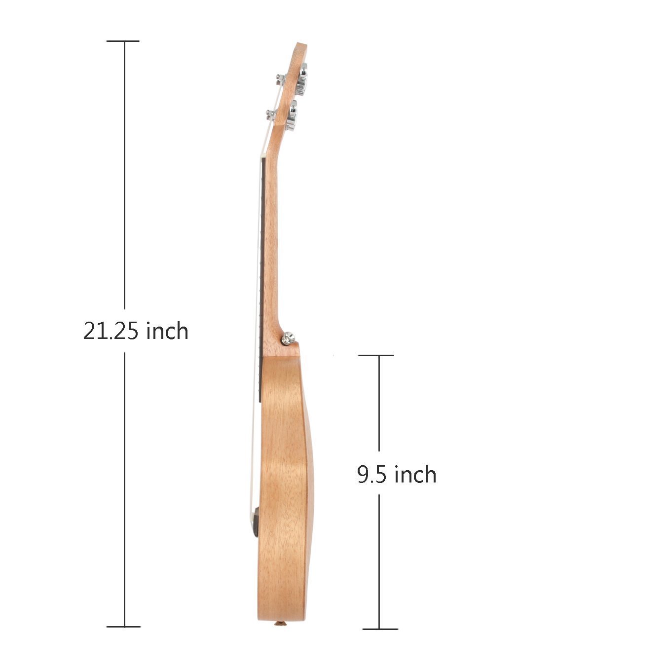 VIVICTORY concert Ukulele 23 Mahogany Aquila String Beginner Kit