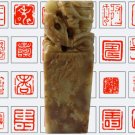 Chinese Seal Nature Shoushan Stone Royal Dragon Stamper Chop Signet Carve Name Free