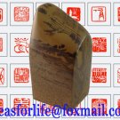 Confucius Hometown Nature NiShan Stone Pine Fossil Stamper Chop