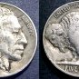 1919 BUFFALO NICKEL..5C DDO FS-101..HORN.    20230051