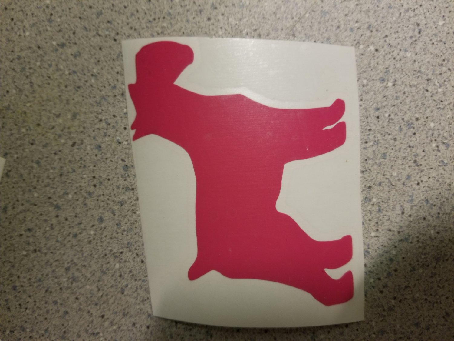Vinyl Decal