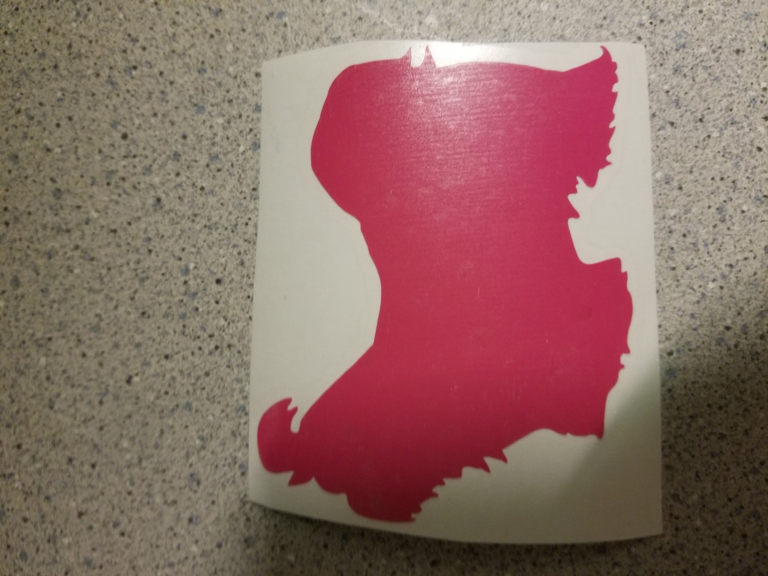 Vinyl Decal