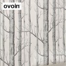 Black White Birch Tree Wallpaper for Bedroom Modern Design Forest Woods