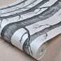 Black White Birch Tree Wallpaper for Bedroom Modern Design Forest Woods