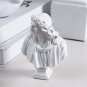 Famous Statue Retro Resin Head Skull Sculpture Venus Model King David Figurine