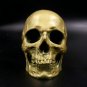 Human Skull Resin Replica Medical Model Aquarium Halloween Deco