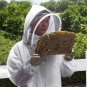 Professional Cotton Full Body Beekeeping Bee Keeping Clothing Tools Set w/ Veil