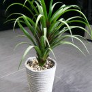 24" Faux Artificial Plants Home Modern Contemporary Decoration Grey Pot Planter