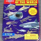 T.S. Shure Bendon SHARK SPECIES of the WORLD S.T.E.M. Magnet Tin Case Complete