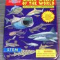 T.S. Shure Bendon SHARK SPECIES of the WORLD S.T.E.M. Magnet Tin Case Complete
