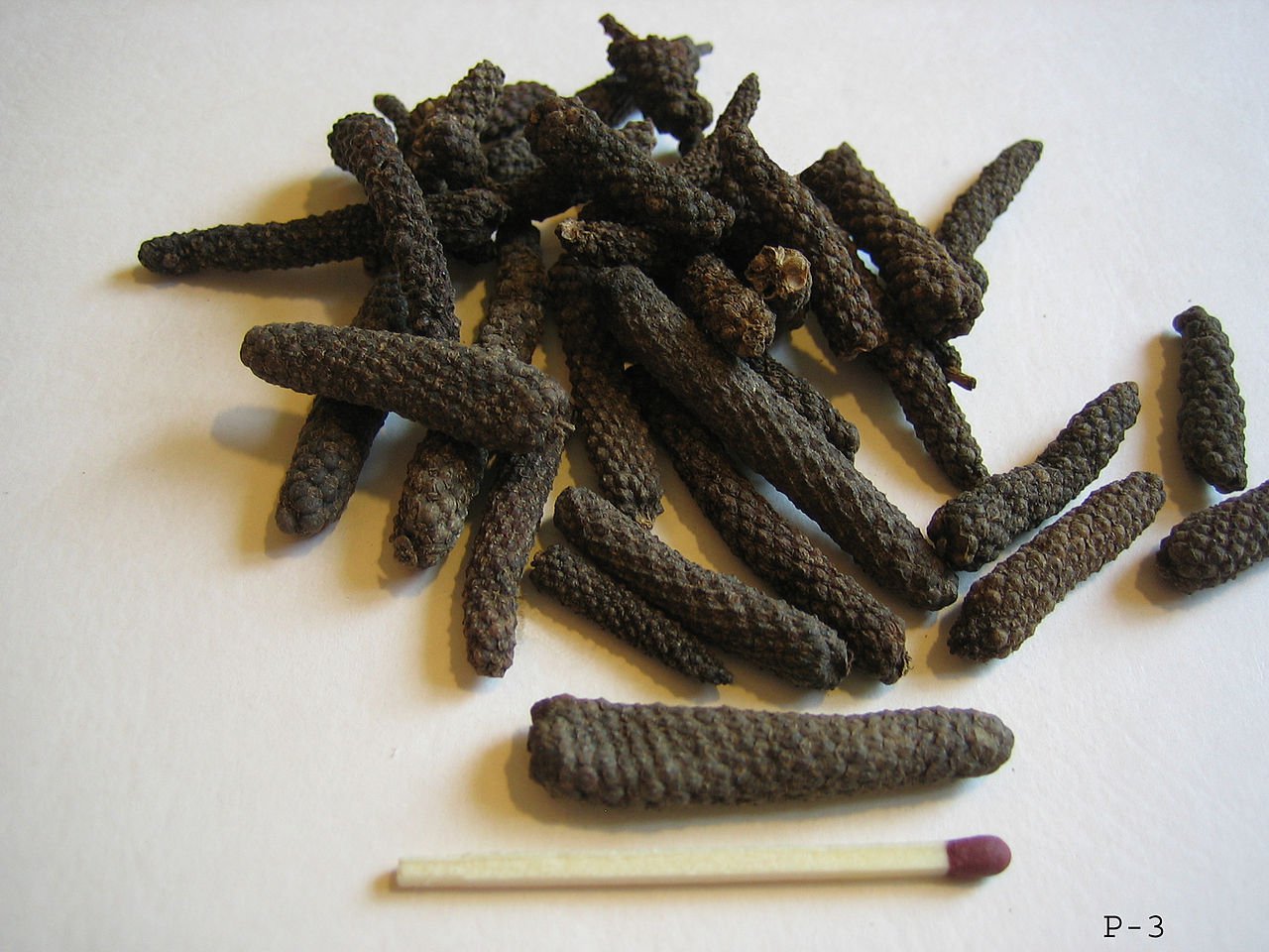 Piper longum 45 seeds, long pepper