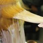 2 SET x Berina Bleacher Hair Professional Permanent Bleaching Hair Powder