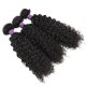 jerry curly hair
