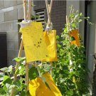 x10 LARGE AREA YELLOW STICKY GLUE FLYING INSECT TRAP. Poison Free.NO ODOR.