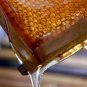 GREEK HONEY ATTIKI 470 gr ( Superior Honey Taste Award ) - PET BOTTLE