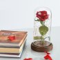 Red Silk Rose with Led Light Fallen Petals in a Glass PERFECT FOR GIFT