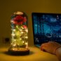 Red Silk Rose with Led Light Fallen Petals in a Glass PERFECT FOR GIFT