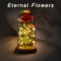 Red Silk Rose with Led Light Fallen Petals in a Glass PERFECT FOR GIFT