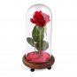 Red Silk Rose with Led Light Fallen Petals in a Glass PERFECT FOR GIFT