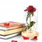 Red Silk Rose with Led Light Fallen Petals in a Glass PERFECT FOR GIFT
