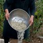 Natural Mastic Chewing Gum Greece Chios 4 Flavors Lemon Mint Cinnamon Sugar Free