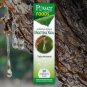 Chios Mastic Mastiha Effervescent Tablets FOR DIGESTIVE HEALTH 20 Tablets