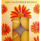 Citronella Tea Lights-Insect Mosquito Repellant Candles 10 Pack Camping Outdoors