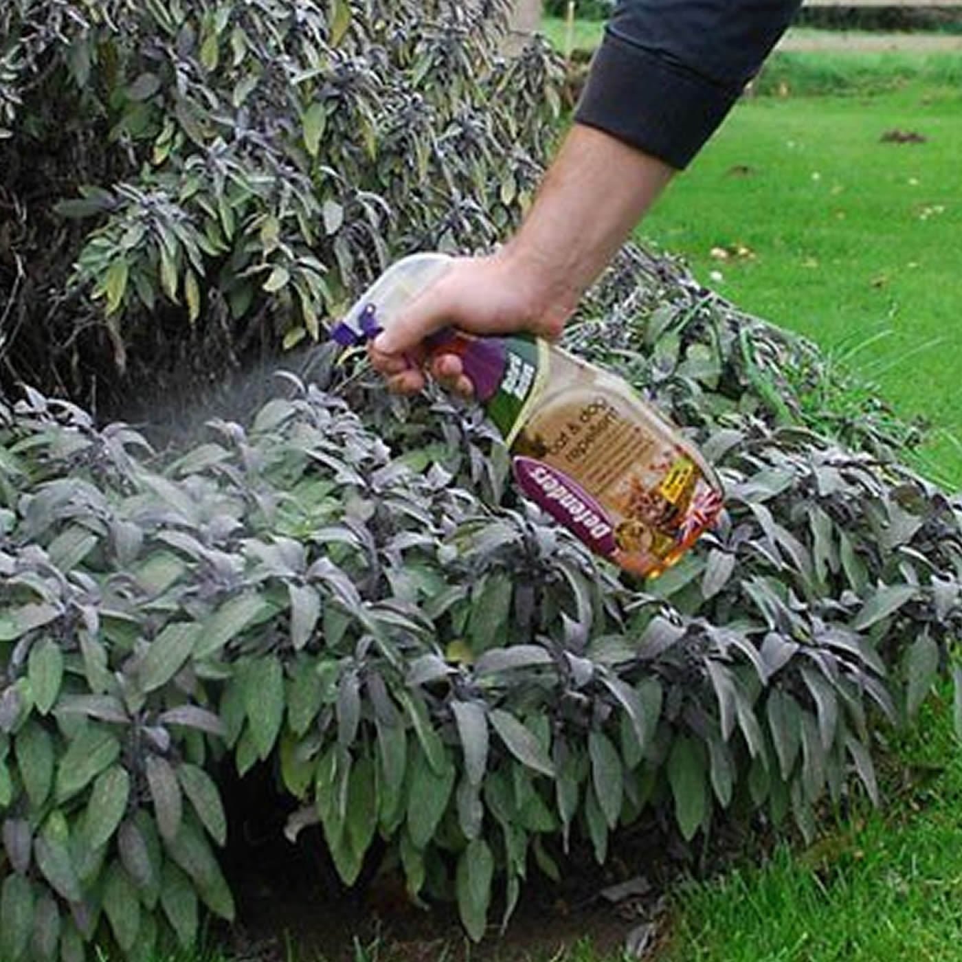 Defenders Cat & Dog Repellent Deterrent Repeller Scarer Stops Fowling