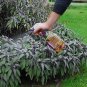 Defenders Cat & Dog Repellent Deterrent Repeller Scarer Stops Fowling on Lawns