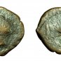 Ancient Greek Coin Carthage Zeugitania AE18mm Tanit / Horse 04502