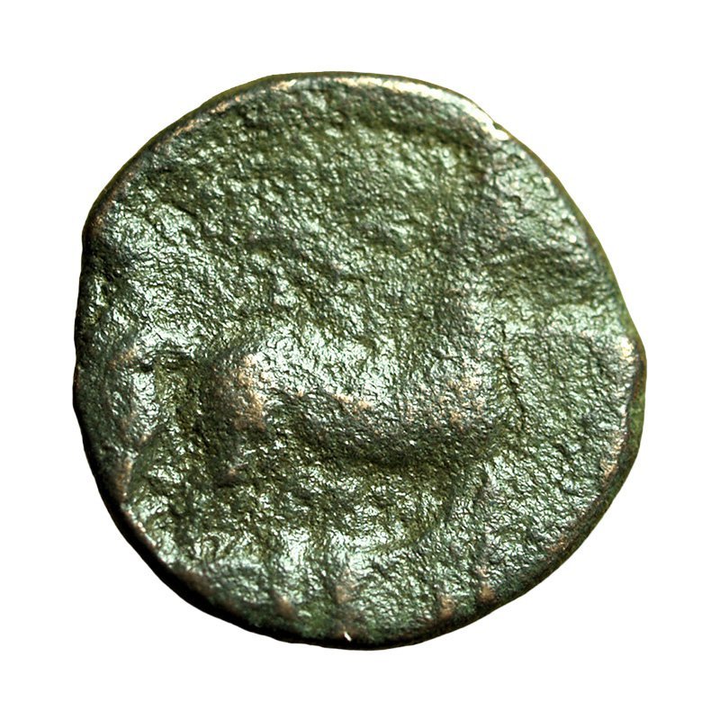 Ancient Greek Coin Carthage Zeugitania AE14mm Tanit / Horse &amp; Palm