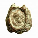 Roman Empire Seal Uniface Clay Terracotta Bulla AE12x14mm Herakles 038