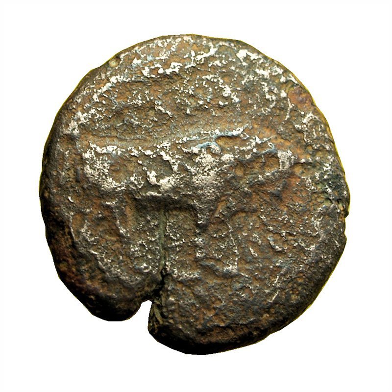 Ancient Greek Coin Gela Sicily AE16mm Bull / River God Gelas 01726