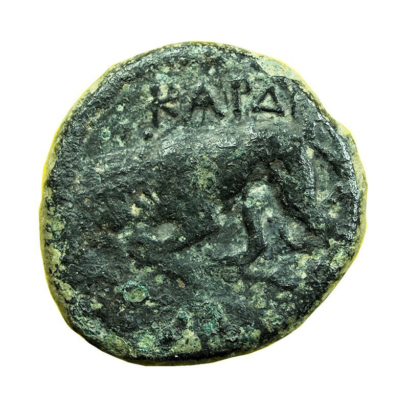Ancient Greek Coin Kardia Thrace AE20mm Persephone / Lion 00923