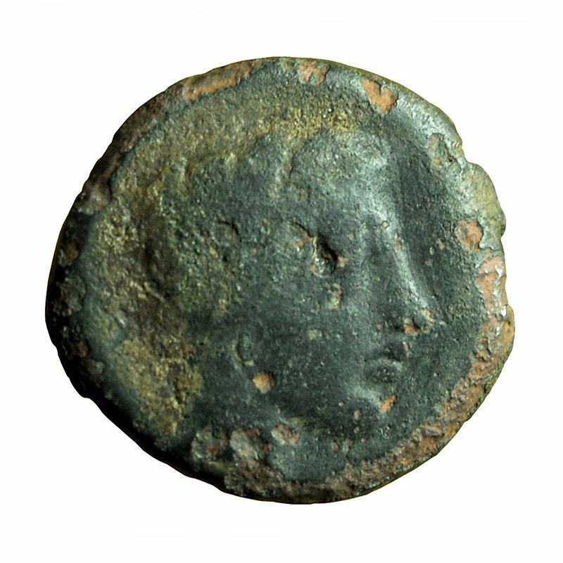 Ancient Greek Coin Gela Sicily AE16mm Bull / River God Gelas 03908