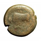 Ancient Greek Coin Agathokles Syracuse Sicily AE21mm Kore / Bull 03927