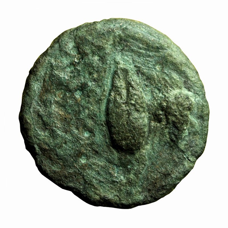 Ancient Greek Coin Neandria Troas AE11mm Apollo / Barley Corn &amp; Gr