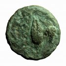 Ancient Greek Coin Neandria Troas AE11mm Apollo / Barley Corn & Gr