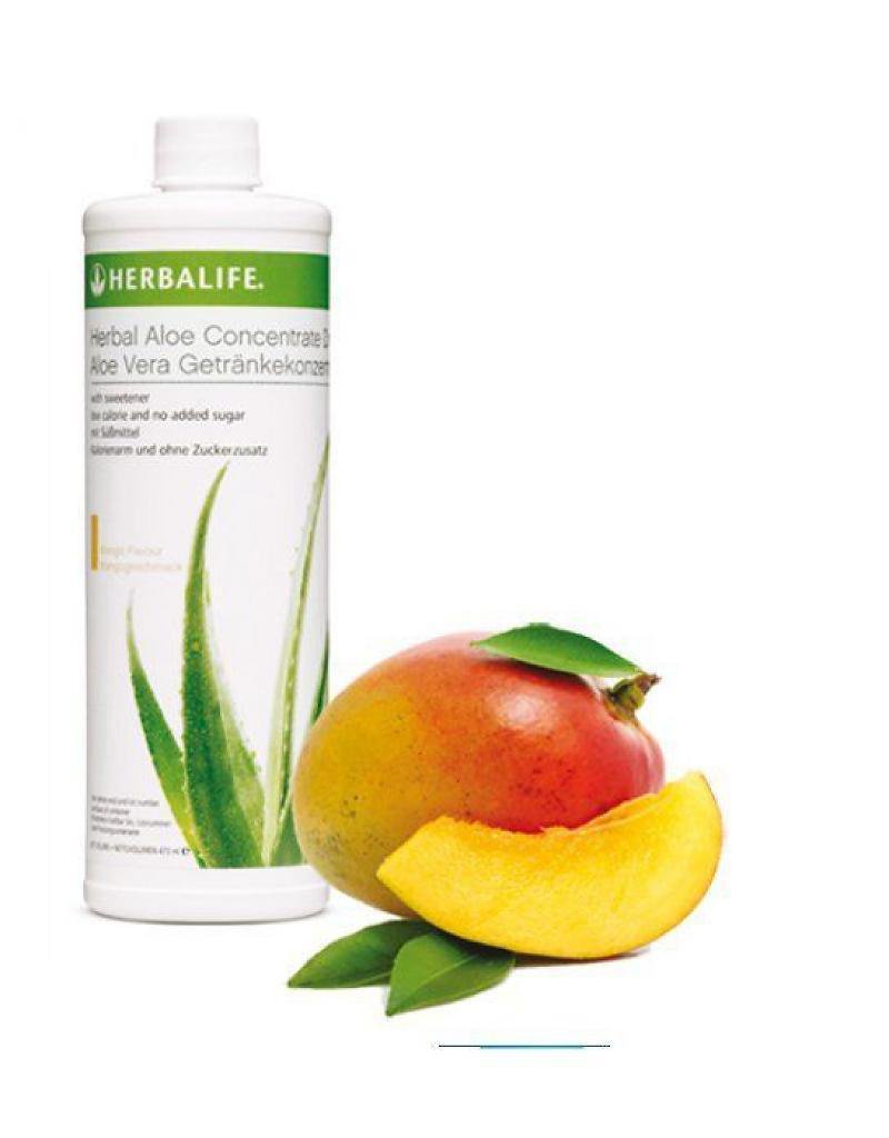 Herbalife Aloe Tea Shake Kit Formula 1 + Aloe Concentrate Mango