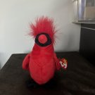 Mac The Cardinal Beanie Baby **ALL ERRORS**